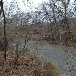 Photo #2 of 17.2 Acres Davie, Madison, NC 17.2 acres
