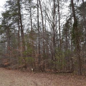 Photo #5 of 17.2 Acres Davie, Madison, NC 17.2 acres