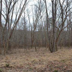 Photo #15 of 17.2 Acres Davie, Madison, NC 17.2 acres