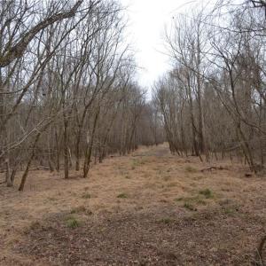Photo #4 of 17.2 Acres Davie, Madison, NC 17.2 acres