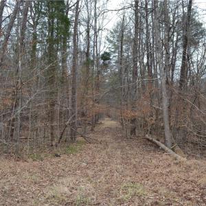 Photo #8 of 17.2 Acres Davie, Madison, NC 17.2 acres