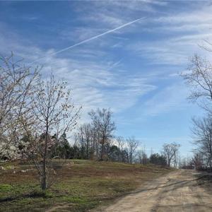 Photo #1 of 199 Rose of Sharon, Lexington, NC 1.7 acres