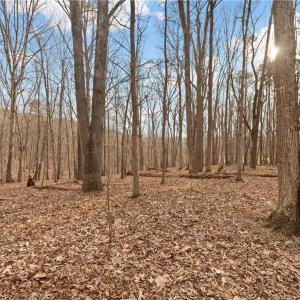 Photo #7 of 174 Mistral, Denton, NC 1.8 acres