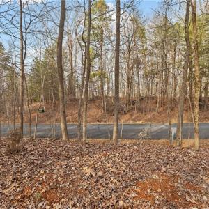 Photo #3 of 174 Mistral, Denton, NC 1.8 acres