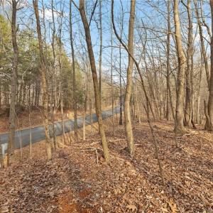 Photo #7 of 174 Mistral, Denton, NC 1.8 acres