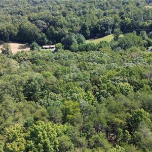 Photo #10 of Tract C NC Highway 89, Danbury, NC 21.0 acres