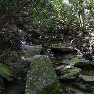 Photo #24 of Tract C NC Highway 89, Danbury, NC 21.0 acres