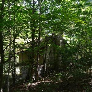 Photo #30 of Tract C NC Highway 89, Danbury, NC 21.0 acres