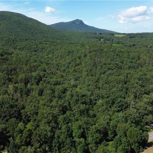 Photo #11 of Tract C NC Highway 89, Danbury, NC 21.0 acres