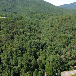 Photo #1 of Tract C NC Highway 89, Danbury, NC 21.0 acres