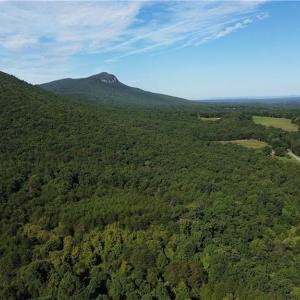 Photo #23 of Tract E Hanging Rock Forest, Danbury, NC 10.8 acres