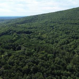 Photo #22 of Tract E Hanging Rock Forest, Danbury, NC 10.8 acres