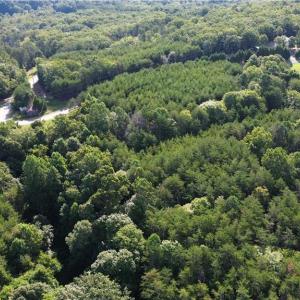 Photo #20 of Tract E Hanging Rock Forest, Danbury, NC 10.8 acres