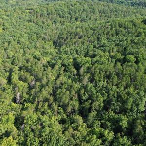 Photo #18 of Tract E Hanging Rock Forest, Danbury, NC 10.8 acres