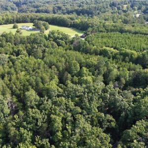 Photo #19 of Tract E Hanging Rock Forest, Danbury, NC 10.8 acres