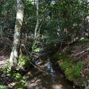 Photo #17 of Tract E Hanging Rock Forest, Danbury, NC 10.8 acres