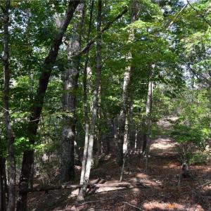 Photo #12 of Tract E Hanging Rock Forest, Danbury, NC 10.8 acres