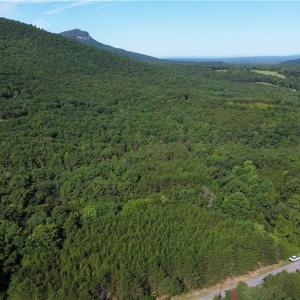 Photo #24 of Tract E Hanging Rock Forest, Danbury, NC 10.8 acres