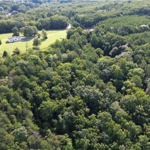 Photo #21 of Tract E Hanging Rock Forest, Danbury, NC 10.8 acres
