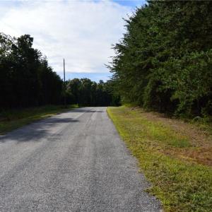 Photo #3 of Tract E Hanging Rock Forest, Danbury, NC 10.8 acres
