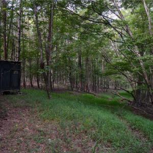 Photo #9 of Tract E Hanging Rock Forest, Danbury, NC 10.8 acres