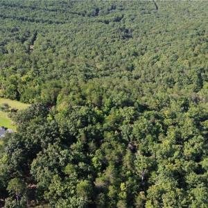 Photo #17 of Tract D Hanging Rock Forest, Danbury, NC 14.0 acres