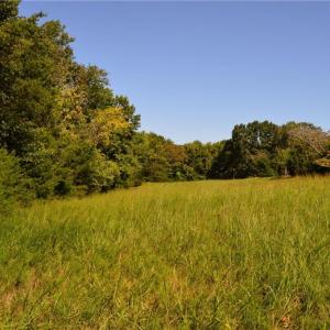 Photo #3 of Tract D Hanging Rock Forest, Danbury, NC 14.0 acres