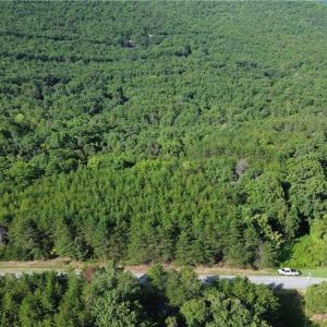 Photo #15 of Tract D Hanging Rock Forest, Danbury, NC 14.0 acres