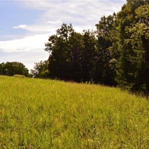 Photo #2 of Tract D Hanging Rock Forest, Danbury, NC 14.0 acres