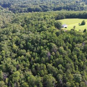Photo #16 of Tract D Hanging Rock Forest, Danbury, NC 14.0 acres