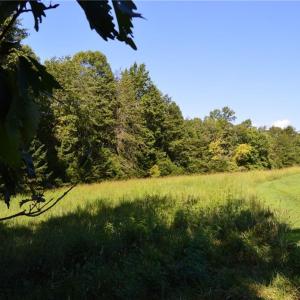 Photo #1 of Tract D Hanging Rock Forest, Danbury, NC 14.0 acres