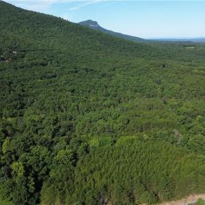Photo #20 of Tract D Hanging Rock Forest, Danbury, NC 14.0 acres