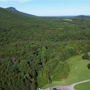 Photo #14 of Tract D Hanging Rock Forest, Danbury, NC 14.0 acres