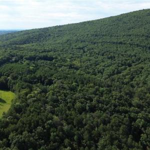 Photo #19 of Tract D Hanging Rock Forest, Danbury, NC 14.0 acres