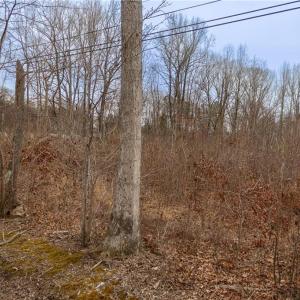 Photo #12 of Bill Medlin, Lexington, NC 4.9 acres