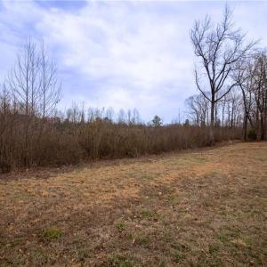 Photo #7 of Bill Medlin, Lexington, NC 4.9 acres