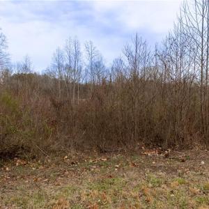 Photo #9 of Bill Medlin, Lexington, NC 4.9 acres