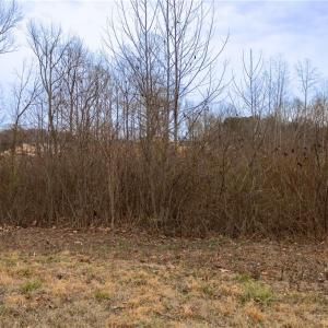 Photo #10 of Bill Medlin, Lexington, NC 4.9 acres