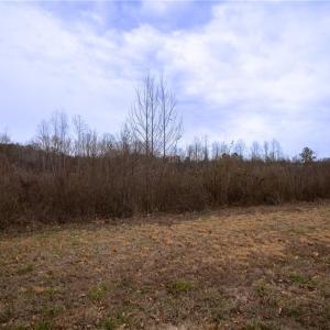 Photo #14 of Bill Medlin, Lexington, NC 4.9 acres