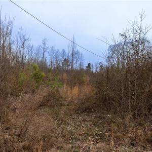 Photo #11 of Bill Medlin, Lexington, NC 4.9 acres