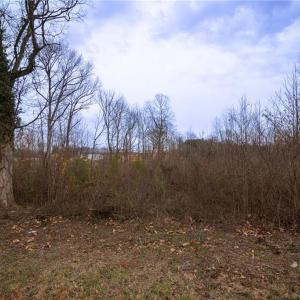 Photo #8 of Bill Medlin, Lexington, NC 4.9 acres
