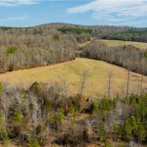 Aerial view of large tract highlighting cleared area topography