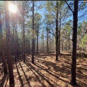 Photo #1 of NC highway 86, Prospect Hill, NC 10.8 acres