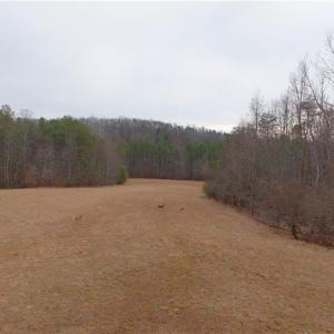 Photo #5 of 3351 NC Highway 66, Westfield, NC 16.5 acres