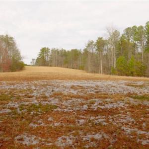 Photo #14 of 3351 NC Highway 66, Westfield, NC 16.5 acres