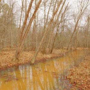 Photo #15 of 3351 NC Highway 66, Westfield, NC 16.5 acres