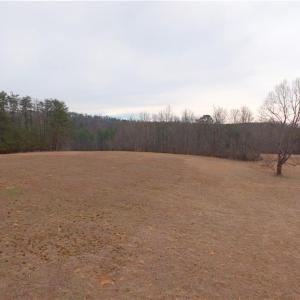 Photo #4 of 3351 NC Highway 66, Westfield, NC 16.5 acres