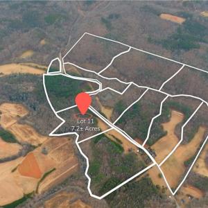 Photo #2 of 3362 NC Highway 66, Westfield, NC 7.2 acres