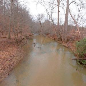 Photo #15 of 3362 NC Highway 66, Westfield, NC 7.2 acres