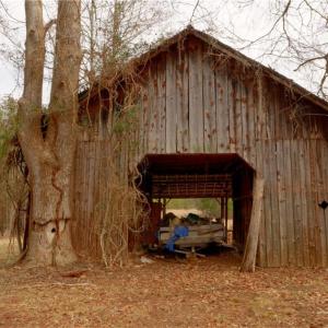 Photo #12 of 3364 NC Highway 66, Westfield, NC 17.5 acres